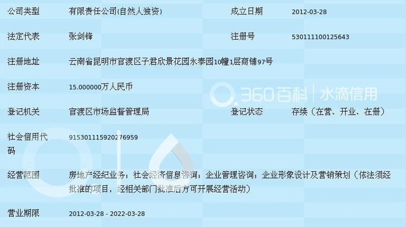 经济信息咨询公司的价值探索与成长路径